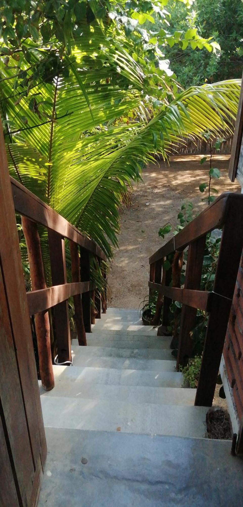 Casa Gaviota Apartment Mazunte Exterior photo